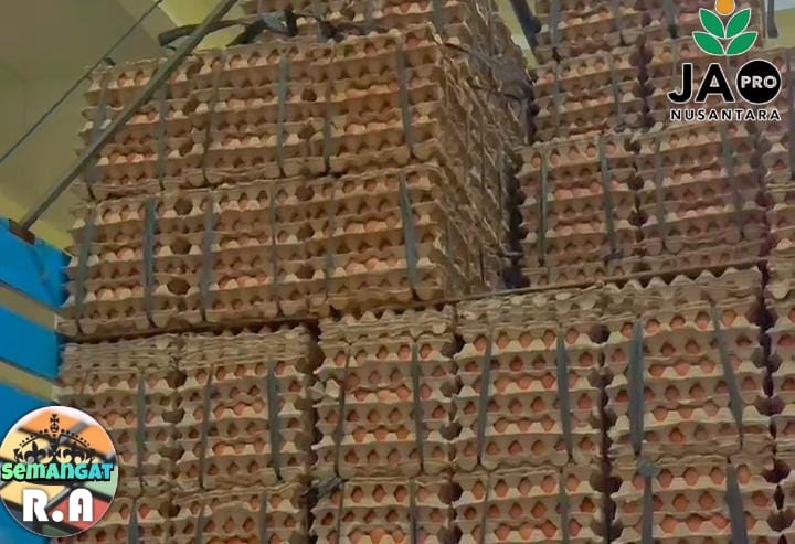 Harga Telur Diprediksi Bakal Naik, Ini&nbsp;Alasannya