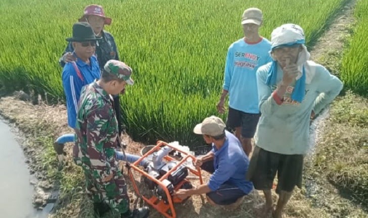 Babinsa Koramil 02 Taman Cek Pompa Baru Bantuan Kementan di Poktan Tunggul&nbsp;Mukti